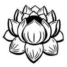 We did not find results for: Dessin Japonais Fleur Gamboahinestrosa