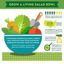 Infographic Grow A Living Salad Bowl How To Make Salad Summer Refreshments Gardening Infographic