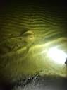 Amazon.com: Green Blob Outdoors LED Flounder Gigging Light ...