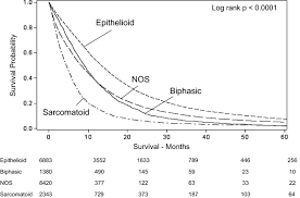 We did not find results for: Largely Unchanged Annual Incidence And Overall Survival Of Pleural Mesothelioma In The Usa Springerlink