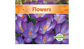 Knyga, kurią parašė hansen, grace. Flowers Plant Anatomy Hansen Grace 9781680801354 Amazon Com Books