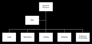 organisation chart mi ti co ltd