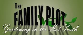 Family Plot - Home