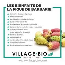 Les Bienfaits De La Figue De Barbarie Aliments Bons Pour La Sante Alimentation Et Sante Sante