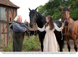 Joey le cheval de ferme, devenu cheval de guerre, en 1914, nous raconte son histoire, avec simplicité. Blu Ray Cheval De Guerre Edition Collector