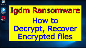Tapi cara ini hanya bisa digunakan jika kalian memiliki data backup terbaru di windows backup. Igdm Virus Ransomware How To Decrypt Igdm Files Igdm File Recovery Guide Youtube