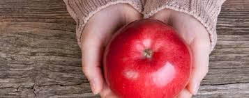 Der Apfel Ein Multitalent Ist Er Aber Auch Ein Allheilmittel