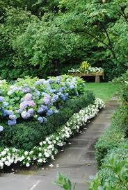 Plants To Use And Look Hydrangeas Front Garden Idea Hydrangea Box Hedge Gardenia Beautiful Home Gardens Beautiful Gardens Hydrangea Landscaping