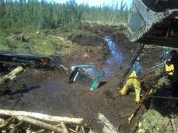 hazards of working near a peat bog