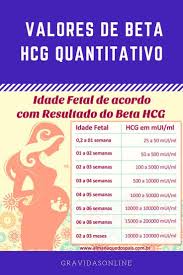 Calculadora De Gravidez Semanas Em Meses Pin De Silvia Em Gravidez Dicas E Informacoes Saude Na Gravidez Exame De Gravidez Gravidez