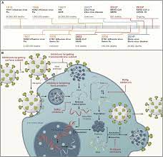 What is the most contagious viral disease? Antivirals With Common Targets Against Highly Pathogenic Viruses Sciencedirect
