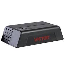 There are 189 suppliers who sells metal multi catch mouse trap on alibaba.com, mainly located in asia. 6 Best Mouse Traps Of 2021 Most Effective Traps For Mice