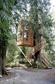 A Perfect Tree House Cool Tree Houses Tree House Treehouse Point