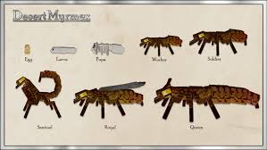 1 dragon mounts 2 is a mod that adds 15 new dragons. Myrmex Ice And Fire Mod Wiki Fandom