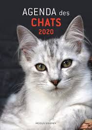 Tout en coloriant, vos enfants assimileront ces éléments. Agenda Des Chats Edition 2020 Collectif Modus Vivendi Papeterie Coloriage Librairie Le Passage Alencon Alencon