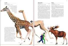 Alticamelus Size Comparison With A Modern Giraffe Moose