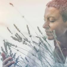 Stream Dr Joe Dispenza Blessing of the Energy Centers