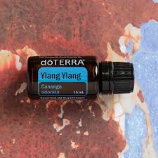 You can enhance your youthful glow by adding a few drops of authentic ylang ylang essential oil to your favourite facial serum or moisturiser and applying to your face and décolletage as usual. Ylang Ylang Oil Uses And Benefits DÅterra Essential Oils