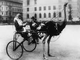 Image result for Women 1920s