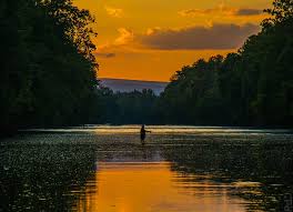 Maybe you would like to learn more about one of these? Friends Of North Fork Rv Resort And Campground In Front Royal Virginia Home Facebook