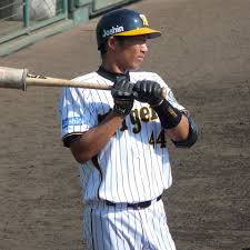 甲斐雄平 - Wikipedia