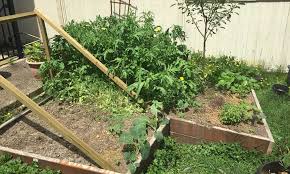 Technically, you don't have to trellis your cucumbers, but a trellis can help keep the vegetables off the ground and lessen the damage due to bugs and this project is an inexpensive way to trellis cucumbers. Raised Bed Trellis Ideas For Saving Space Epic Gardening