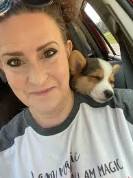 What car beds are safe for corgis?