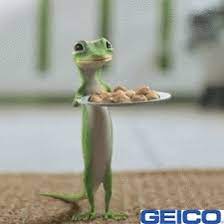 It continues in this passage with successful mega projects in the new administration capital, ports, marine ports, roads and bridges. The Geico Gecko Startseite Facebook