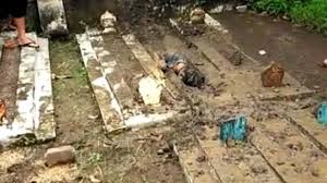 Telemovie tanah kubur 2020 full hd astro citra lakonan mantap ayie floor88. Lelaki Gali Tanah Kebumi Diri Sendiri Kosmo Digital
