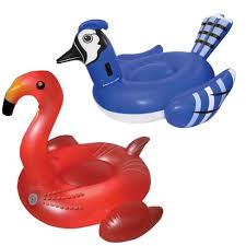 ;) these are sugar cookies dipped in smooth pink icing and sitting on top of a vanilla pudding snack that's tinted blue to represent pool water. Inflatable Blue Jay Raft Bundled W Inflatable Color Changing Led Flamingo Float Target