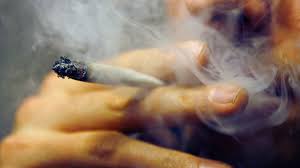 Studie: Lust auf Sex trotz Kiffen - DER SPIEGEL