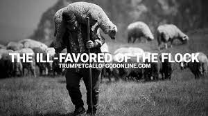 The Ill Favored Of The Flock Word Of God Bible Lord Is My Shepherd