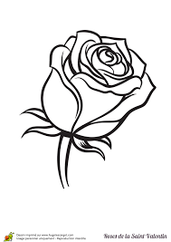 Page 153 Sur 188 Sur Hugolescargot Com Roses Drawing Flower Drawing Rose Stencil