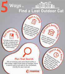 This may seem obvious but check inside your house thoroughly. How To Find A Lost Outdoor Cat