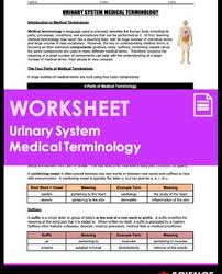 A Clear And Concise 6 Page Worksheet On Medical Terminology Of The Urinary System Used To Descr In 2020 Medical Terminology How To Memorize Things Integumentary System
