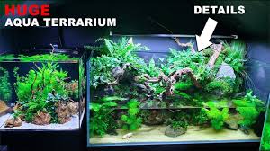 Huge Natural 4ft Aqua Terrarium Paludarium Planted Tank Adding De Planted Aquarium Aqua Terrarium