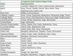 Free Companion Planting Chart Different Cottage Garden