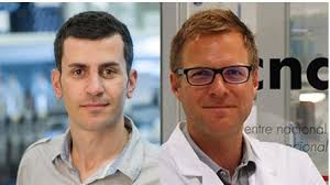 Sarah Boswell (DrBozGinkgo@)