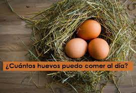 Cuantos Huevos Puedo Comer Al Dia Boteprote Blog