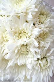 Kids can work on color sorting, number sense, and patterning perfect for your flowers theme, plant theme, spring theme, summer theme units and lesson plans. Science Experiment With Colour Changing Flowers Laughing Kids Learn