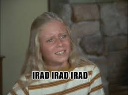 Gulfstream Park Nov 28th THANKSGIVING DAY !! IRAD IRAD IRAD by Chris Cupples 