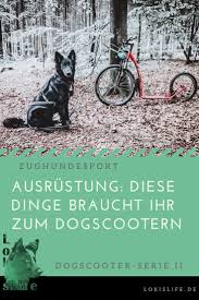 Die Zughundesportarten Werden Auch Bei Besitzern Von Familienhunden Immer Beliebter Vor Allem Das Dogscootern Erlebt Aktuell Eine In 2020 Hunde Hundesport Hundetricks