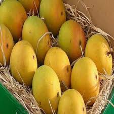 Buy Organically Grown No Chemicals Used And Originally Ripened Premium Alphonso Mangoes Pack Of 24 On Rs 2 499 Only At Ghasitaram Fruit Wallpaper Mango Fruit