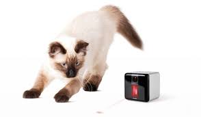 We have 14 24petwatch.com coupon codes as of february 2021 grab a free coupons and save money. Putting The Latest Pet Gadgets To The Test Cbc Life