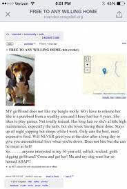 His Girlfriend Doesn T Like His Dog Said To Get Rid Of It Look At His Craigslist Post Me As A Girlfriend Beagle Funny