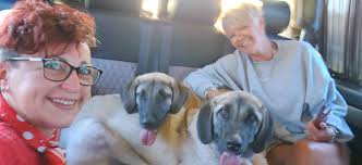 Update!!! We have named him Buddy