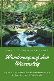 Wasser Erholung Und Ein Unendliches Zeitgefuhl Wurden Den Einstieg In Den Wiesensteig Ein Wunderschoner Premiumwanderweg In Und Europa Reisen Reisen Ausflug