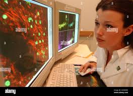 Lois pope life center hi-res stock photography and images