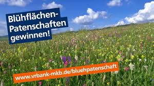 Wir sind als arbeitgeber in der region bekannt. Bluhflachen Patenschaften Vr Bank Main Kinzig Budingen Youtube