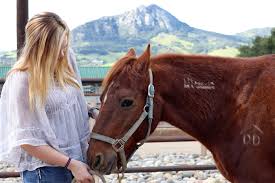 Verliehen wird der film von umedia und légende films. Meet The Students Who Care For Musty The Mustang Cal Poly S Live Mascot Mustang News